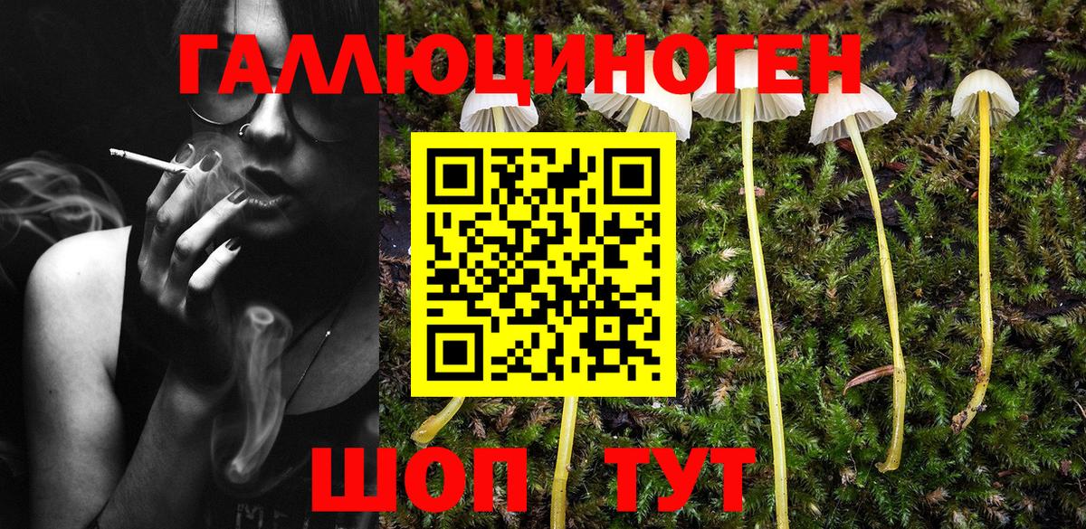 Галлюциногенные грибы ЛСД  Псилоцибиновые грибы мухоморы  Ивантеевка  Вход с VPN 