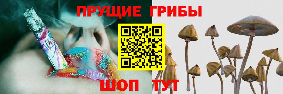 Галлюциногенные грибы Cubensis Ивантеевка